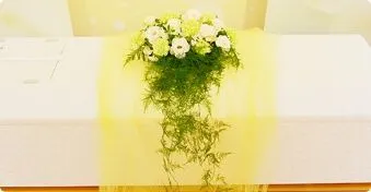 面会火葬式プラン